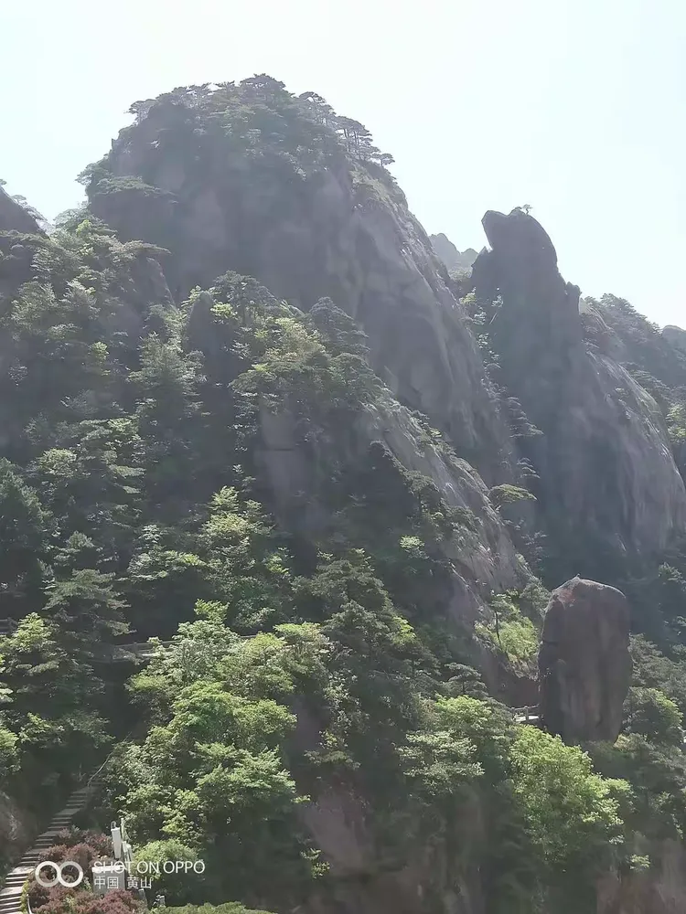 NG体育-电竞夜战：辽东飞鹰队逆转北城犀牛队，主帅临场妙招战术板得到兑现(极恶都市歌词)